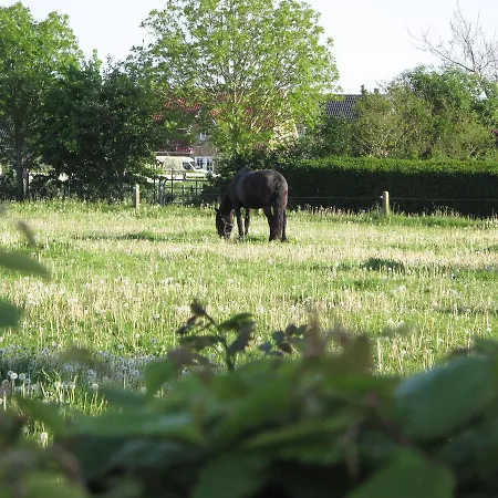Apartament Haus-an-de-marsch *