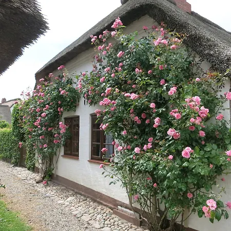 Haus-an-de-marsch * Midlum (Schleswig-Holstein)