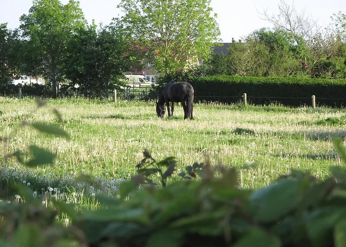 Appartement Haus-an-de-marsch *